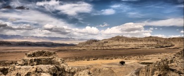 kenov.com 上海开诺企业管理咨询有限公司